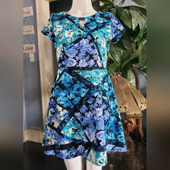Shelby & Palmer Floral Flare Mini Dress Size 10P Blue Black Green - Picture 7 of 7